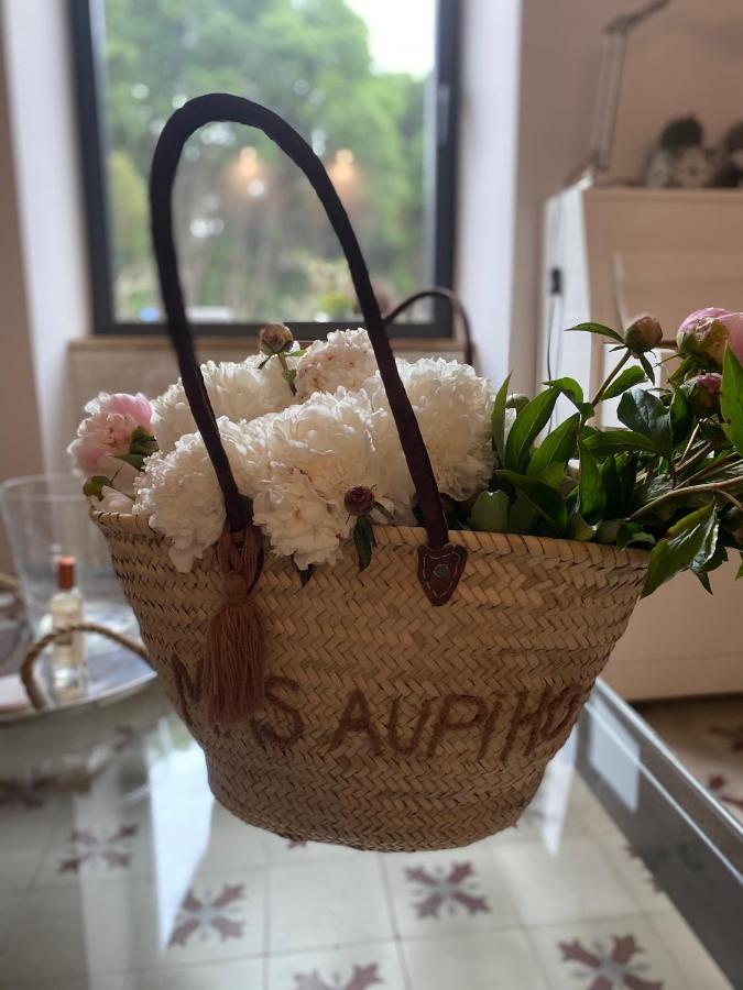 Saint-Rémy-de-ProvenceMas Aupiho别墅 外观 照片